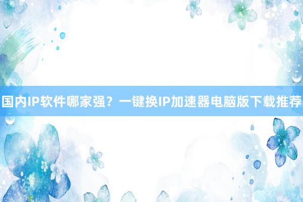 国内IP软件哪家强？一键换IP加速器电脑版下载推荐