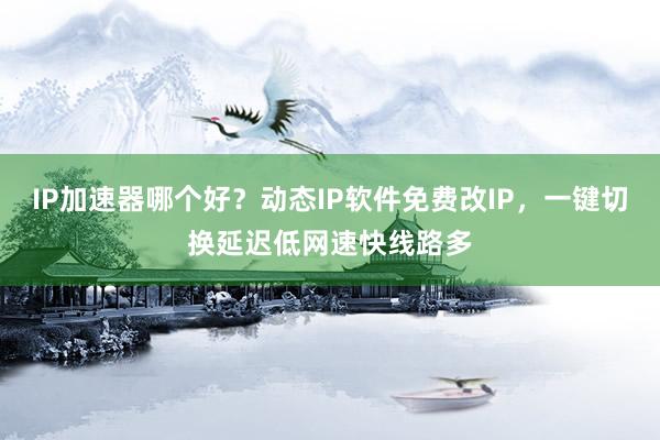 IP加速器哪个好？动态IP软件免费改IP，一键切换延迟低网速快线路多