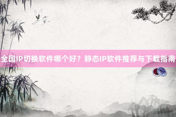 全国IP切换软件哪个好？静态IP软件推荐与下载指南