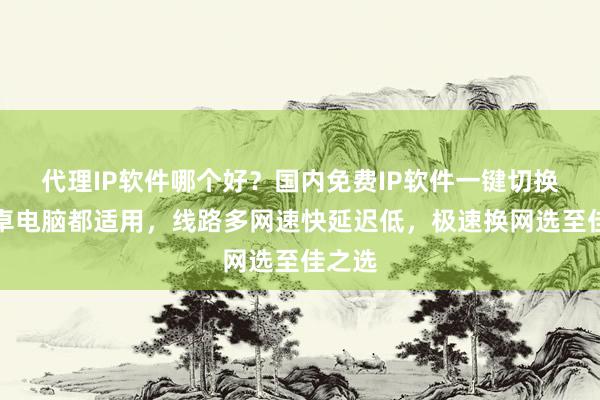 代理IP软件哪个好？国内免费IP软件一键切换，安卓电脑都适用，线路多网速快延迟低，极速换网选至佳之选