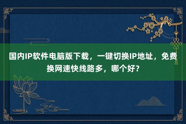 国内IP软件电脑版下载，一键切换IP地址，免费换网速快线路多，哪个好？