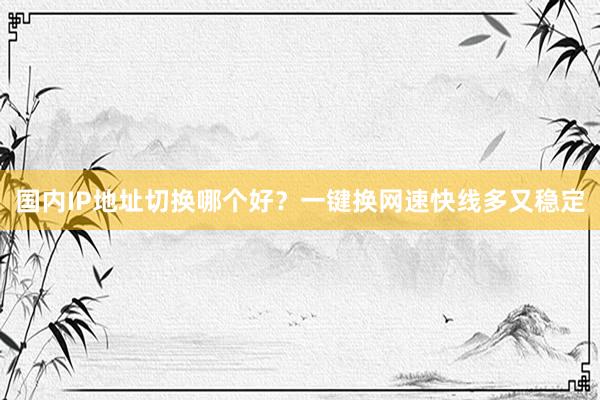 国内IP地址切换哪个好？一键换网速快线多又稳定