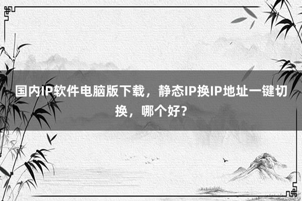 国内IP软件电脑版下载，静态IP换IP地址一键切换，哪个好？