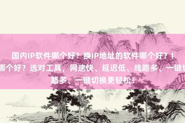国内IP软件哪个好？换IP地址的软件哪个好？IP切换软件哪个好？选对工具，网速快、延迟低、线路多、一键切换更轻松！