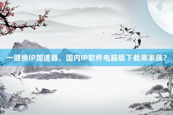 一键换IP加速器，国内IP软件电脑版下载哪家强？