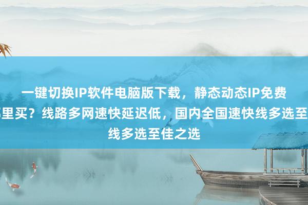 一键切换IP软件电脑版下载，静态动态IP免费工具哪里买？线路多网速快延迟低，国内全国速快线多选至佳之选