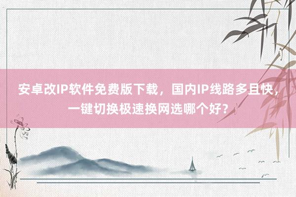 安卓改IP软件免费版下载，国内IP线路多且快，一键切换极速换网选哪个好？