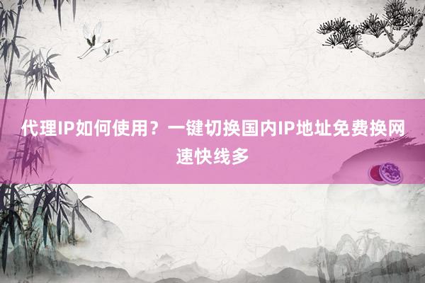 代理IP如何使用？一键切换国内IP地址免费换网速快线多