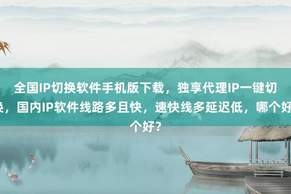 全国IP切换软件手机版下载，独享代理IP一键切换，国内IP软件线路多且快，速快线多延迟低，哪个好？
