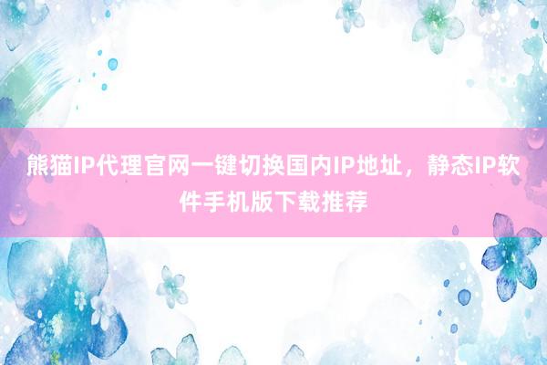 熊猫IP代理官网一键切换国内IP地址，静态IP软件手机版下载推荐