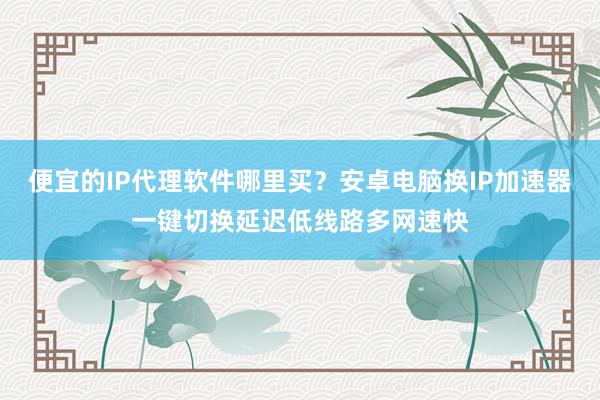 便宜的IP代理软件哪里买？安卓电脑换IP加速器一键切换延迟低线路多网速快
