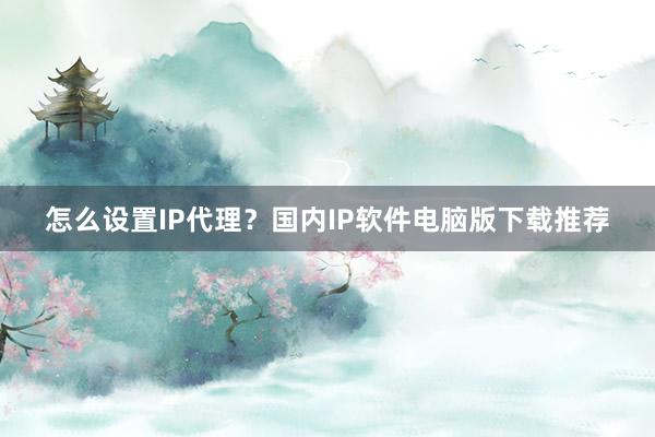 怎么设置IP代理？国内IP软件电脑版下载推荐