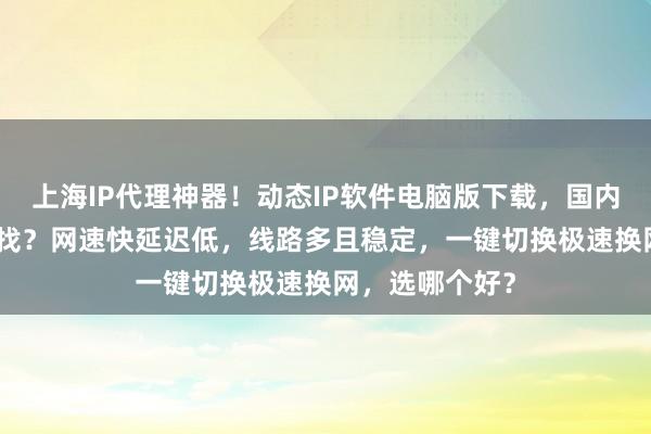 上海IP代理神器！动态IP软件电脑版下载，国内IP免费版哪里找？网速快延迟低，线路多且稳定，一键切换极速换网，选哪个好？