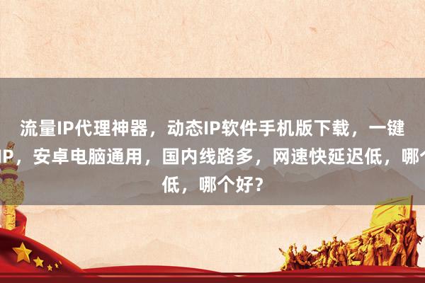流量IP代理神器，动态IP软件手机版下载，一键切换IP，安卓电脑通用，国内线路多，网速快延迟低，哪个好？
