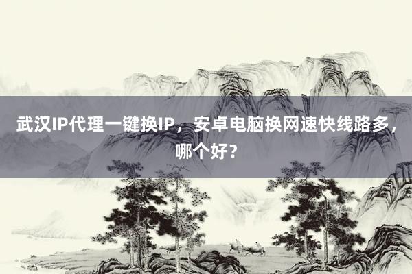 武汉IP代理一键换IP，安卓电脑换网速快线路多，哪个好？